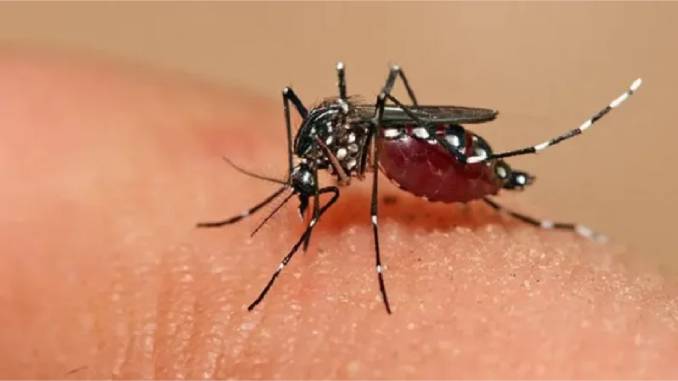 Lee más sobre el artículo El barrio de Villa Santa Rita se encuentra plagado de dengue